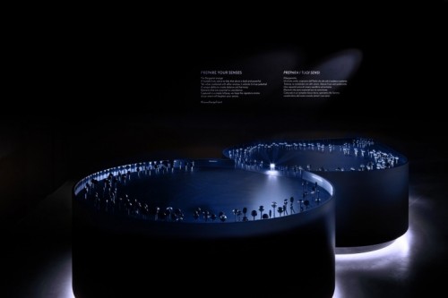 500_prepareyoursenses-longshot